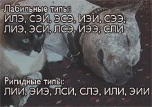 Открыть в Instagram